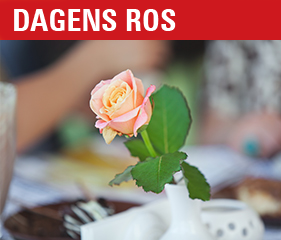 dagensros