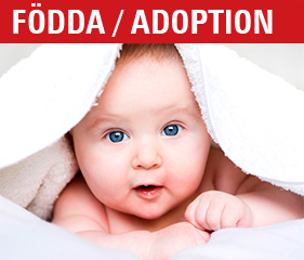 foddaadoption
